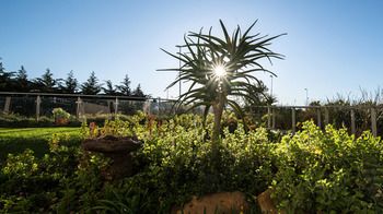 Hotel Verde Cape Town Airport 4*