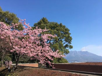Shiroyama Hotel Kagoshima 3*
