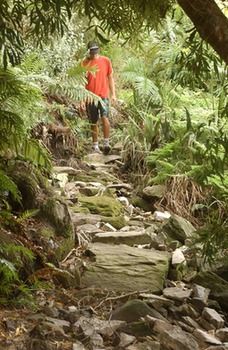 The Fernery Lodge and Spa 0*