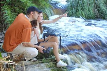 The Fernery Lodge and Spa 0*