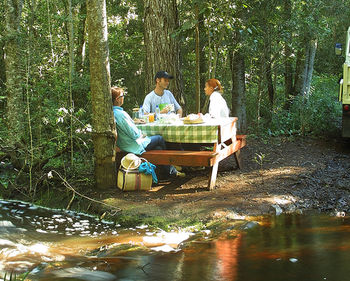 The Fernery Lodge and Spa 0*