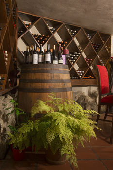 The Fernery Lodge and Spa 0*