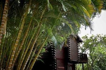 Under Milkwood Resort 4*