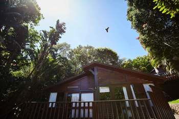 Under Milkwood Resort 4*