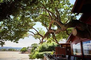 Under Milkwood Resort 4*