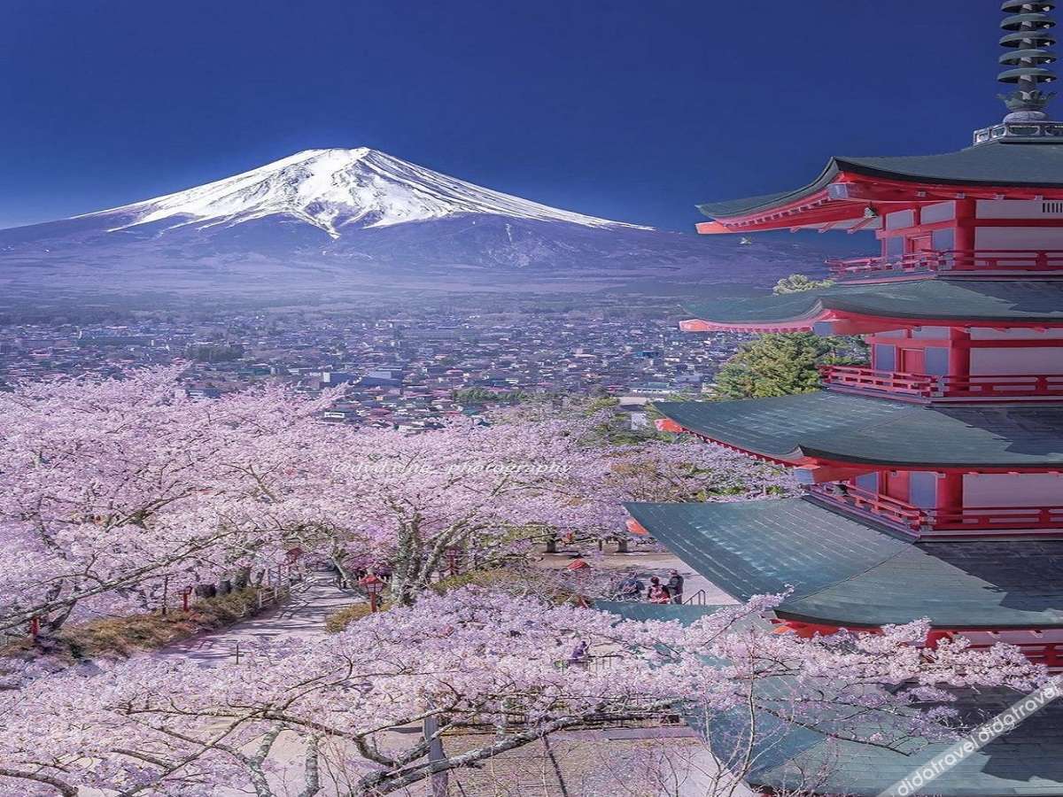 HOTEL LiVEMAX Fuji Ekimae 2*