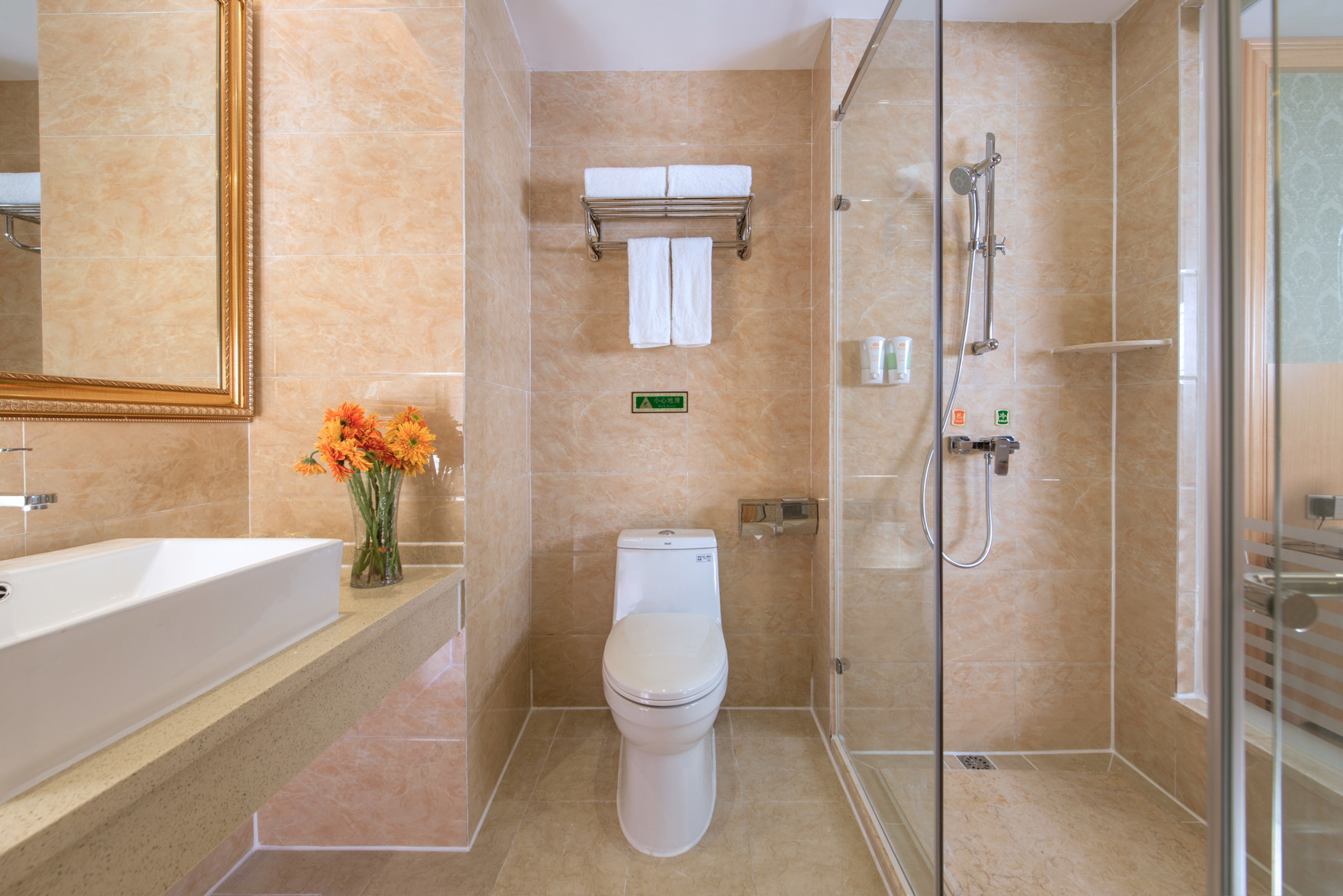 Vienna Hotel (Shenzhen International Convention and Exhibition Center Fuyong Baoan Avenue) 3*