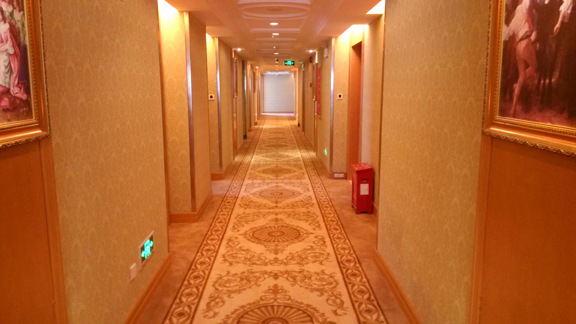 Vienna Hotel (Shenzhen International Convention and Exhibition Center Fuyong Baoan Avenue) 3*