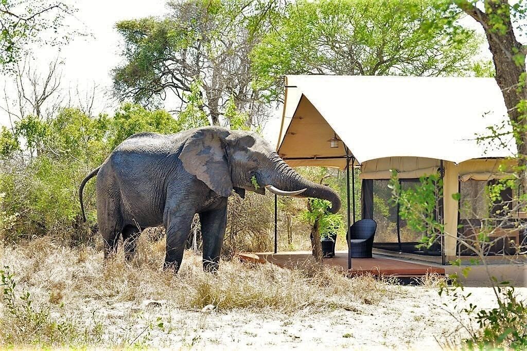 Honeyguide Khoka Moya Camp 3*