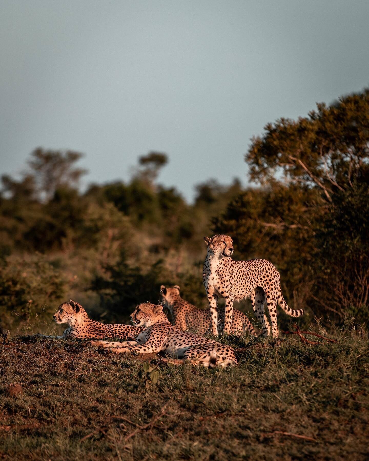 Honeyguide Khoka Moya Camp 3*