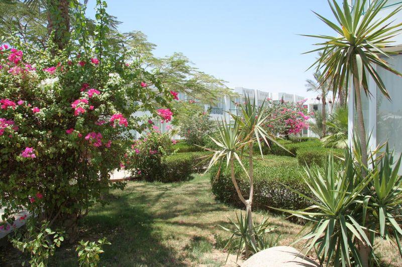 Amarante Garden Palms 4*