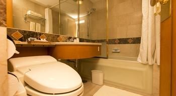 Hotel Mt. Fuji 3*
