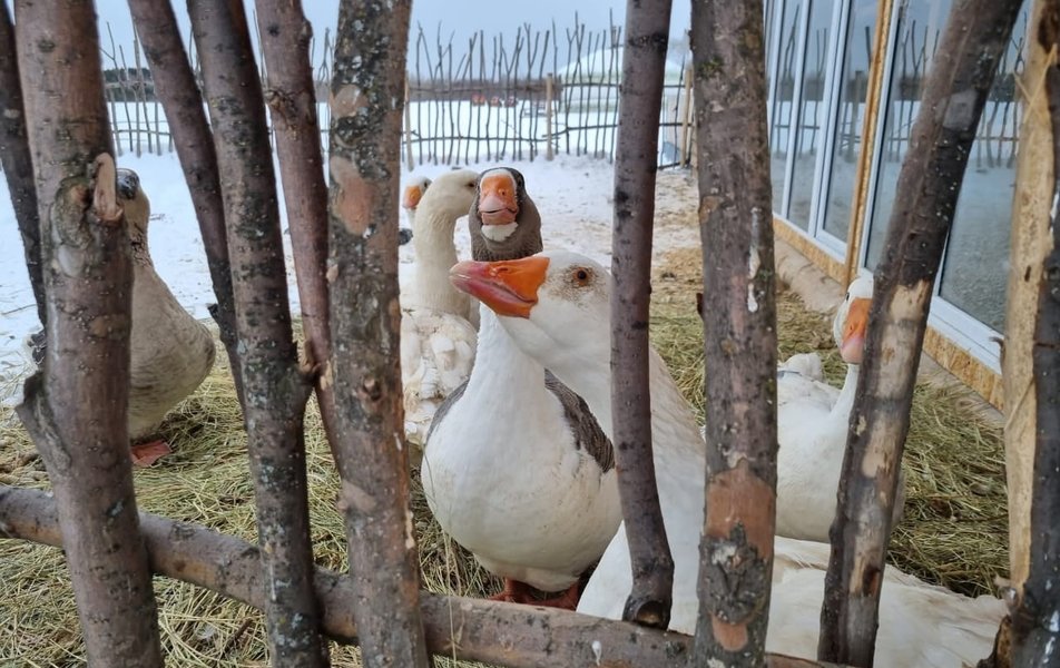 «Золотая Подкова» агротуристический комплекс 2*