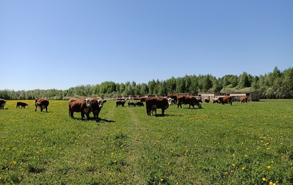 «Золотая Подкова» агротуристический комплекс 2*