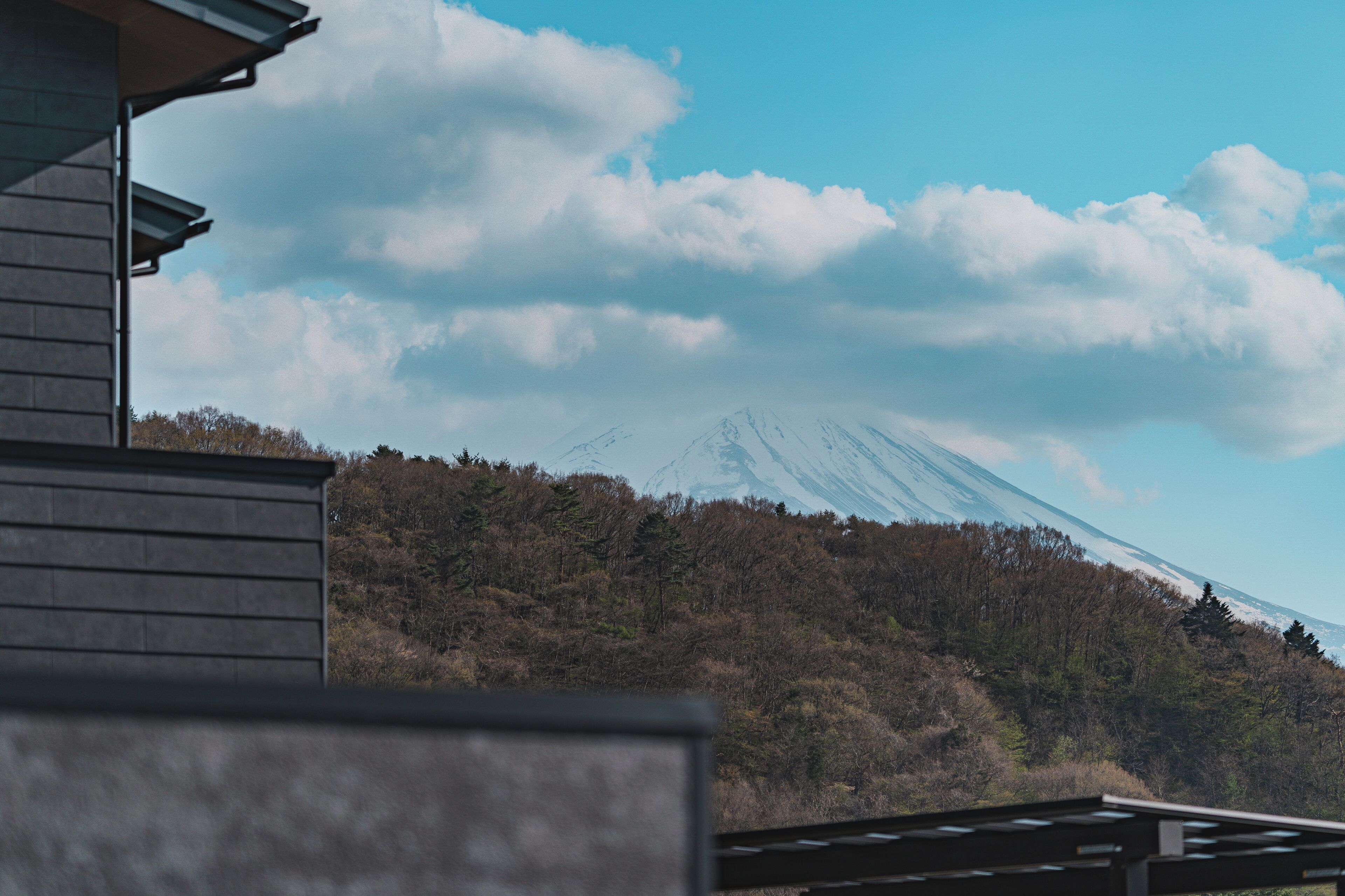 HAOSTAY KAWAGUCHIKO ART MUSEUM. 2*