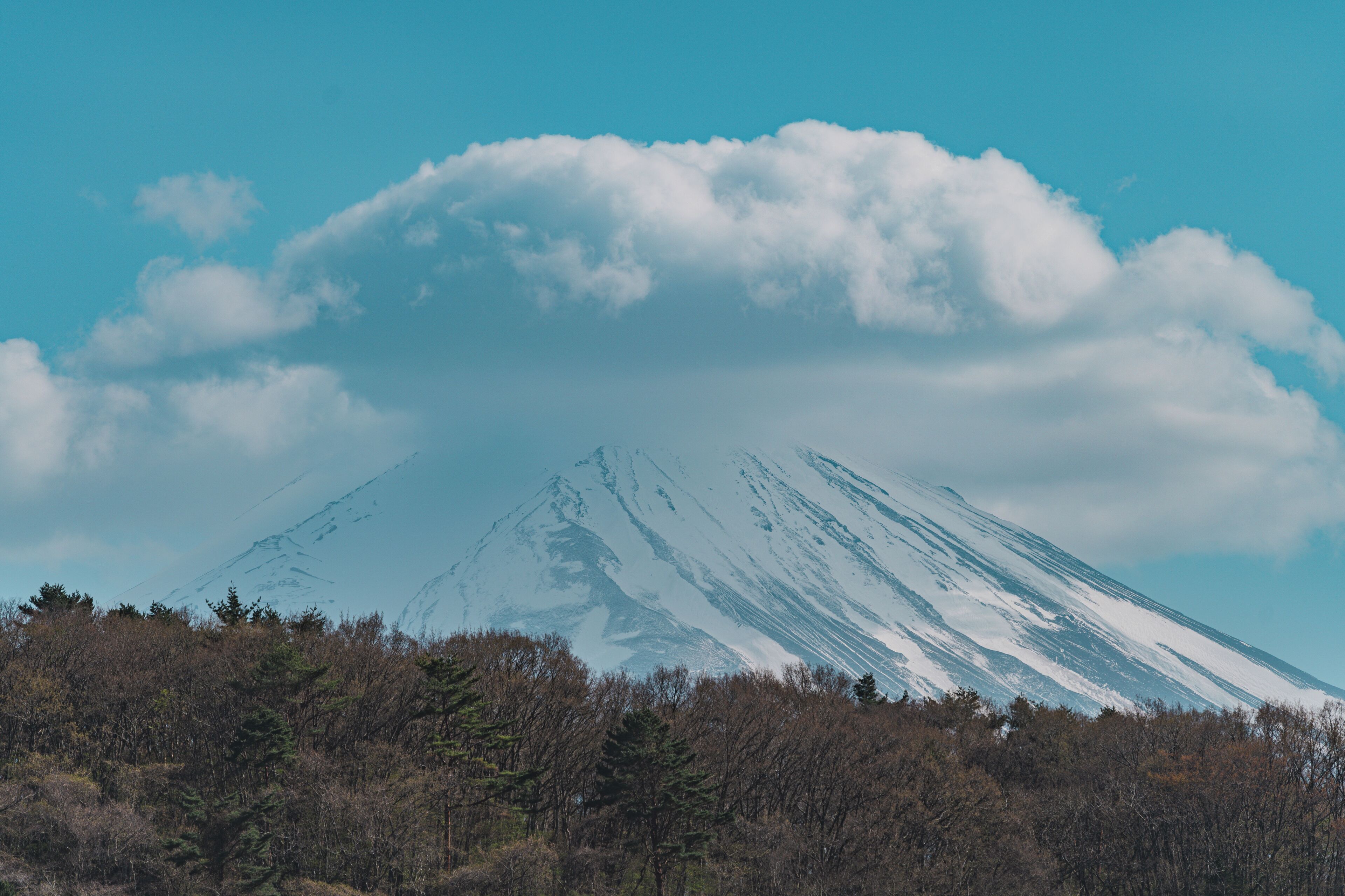 HAOSTAY KAWAGUCHIKO ART MUSEUM. 2*