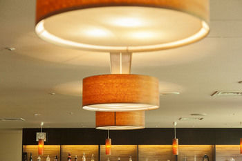Kinugawa Onsen Hotel 4*