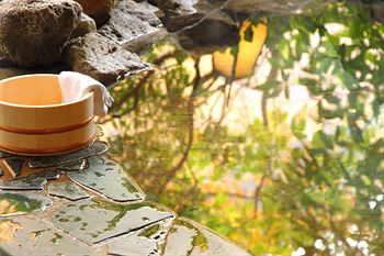 Kinugawa Onsen Hotel 4*