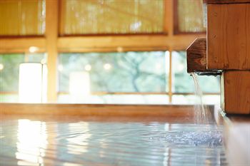 Kinugawa Onsen Hotel 4*