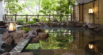 Kinugawa Onsen Hotel 4*