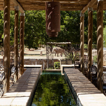 Protea Hotel by Marriott Bloemfontein Willow Lake 4*