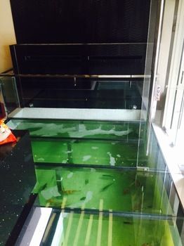 Kyoto Boutique Hotel 3*