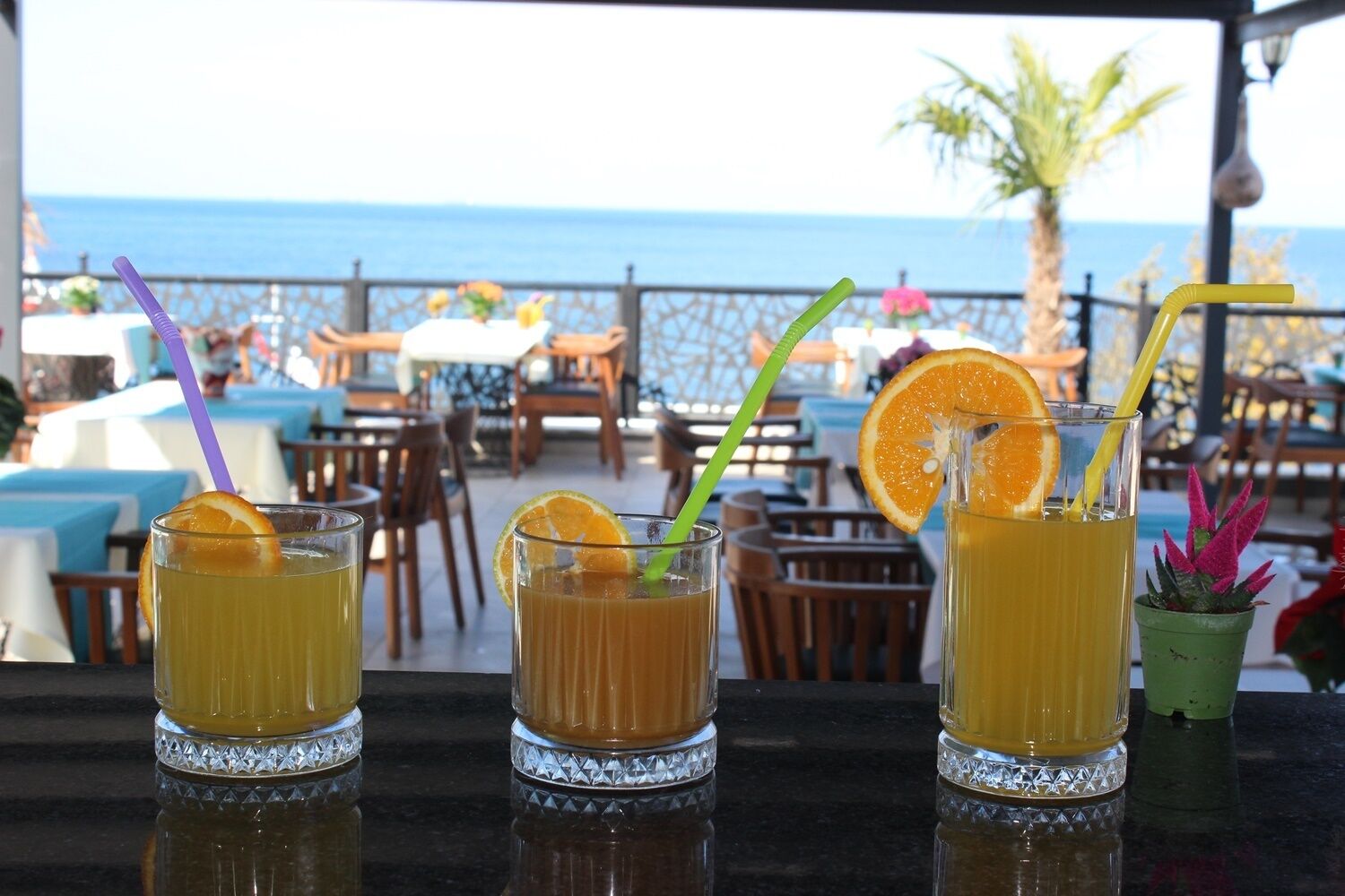 Lion Boutique Hotel 3*