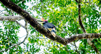 Mutiara Taman Negara 3*