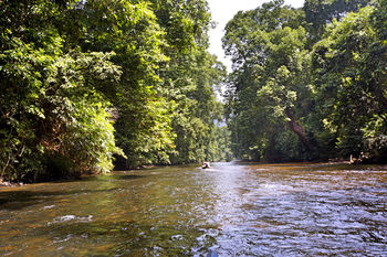 Mutiara Taman Negara 3*