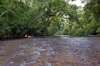 Mutiara Taman Negara 3*