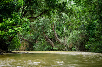 Mutiara Taman Negara 3*