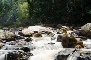 Mutiara Taman Negara 3*