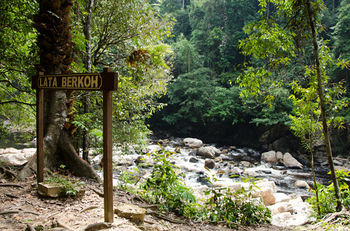 Mutiara Taman Negara 3*