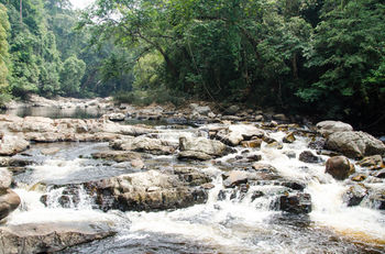 Mutiara Taman Negara 3*