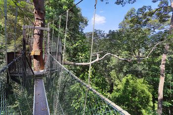 Mutiara Taman Negara 3*