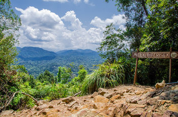 Mutiara Taman Negara 3*