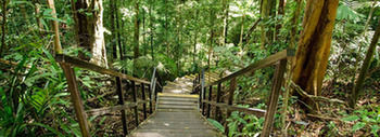 Mutiara Taman Negara 3*