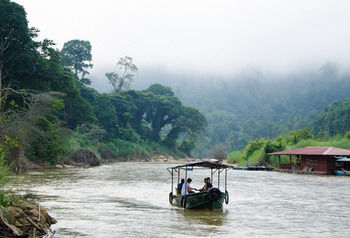 Mutiara Taman Negara 3*