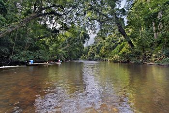 Mutiara Taman Negara 3*
