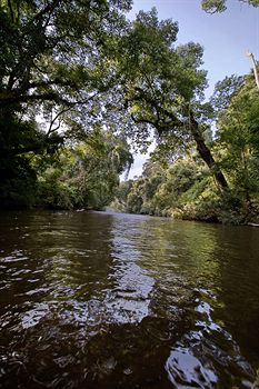 Mutiara Taman Negara 3*