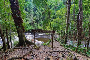 Mutiara Taman Negara 3*