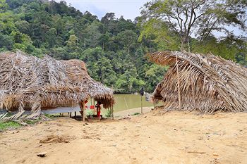 Mutiara Taman Negara 3*