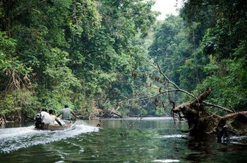 Mutiara Taman Negara 3*