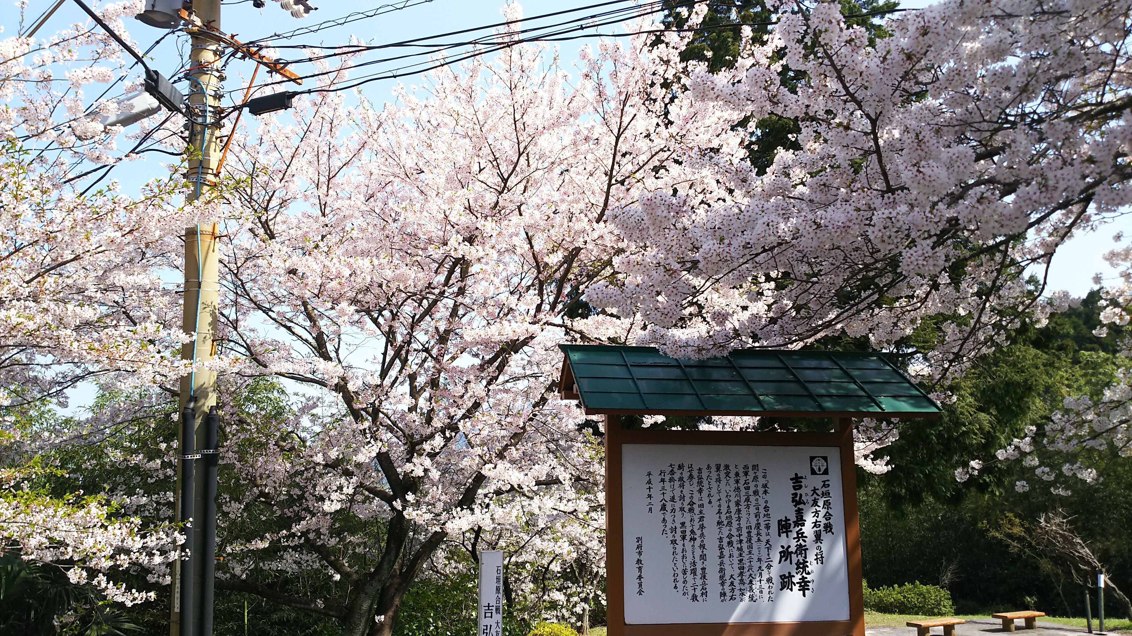 Umino hotel Hajime 3*