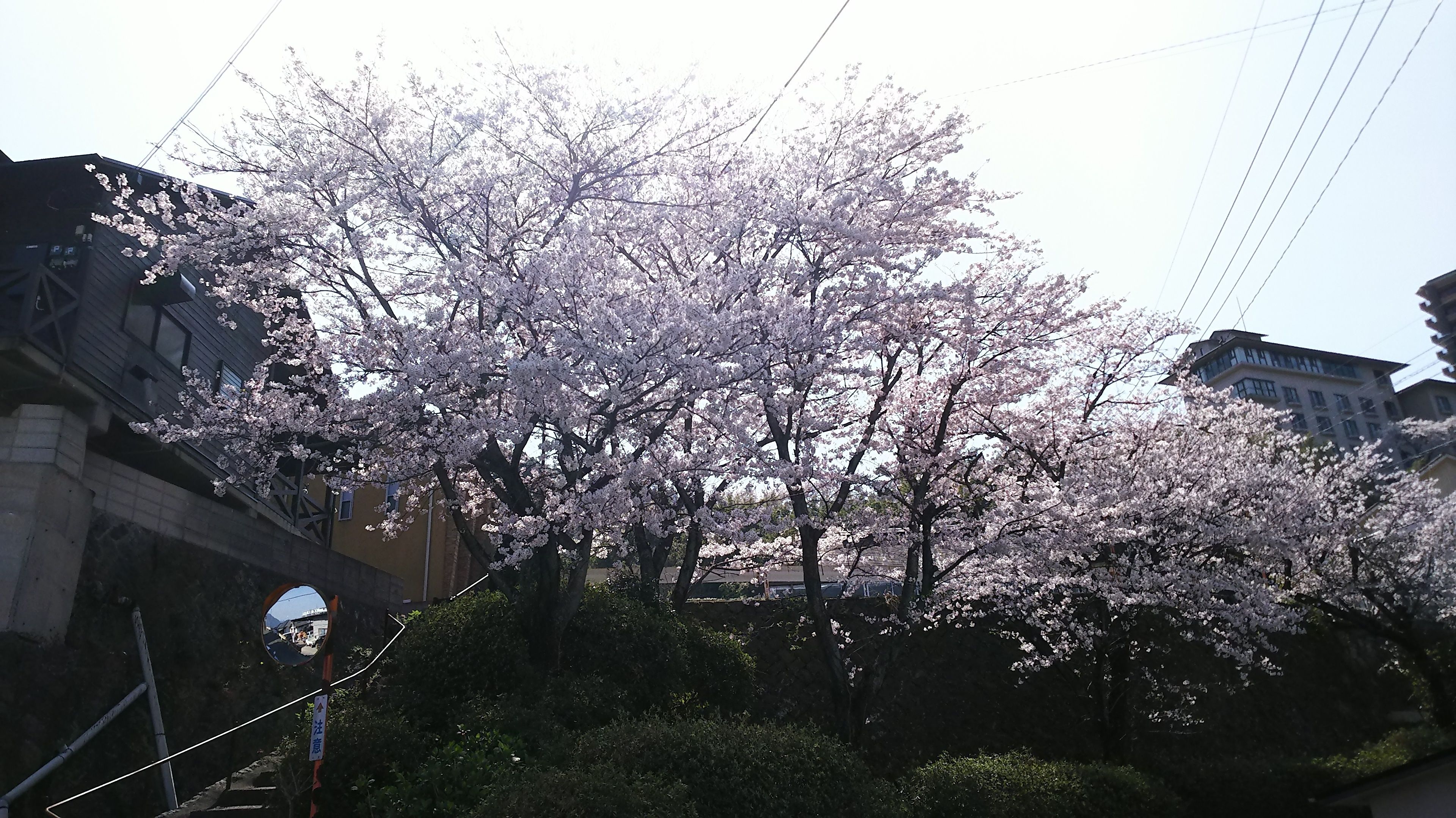 Umino hotel Hajime 3*