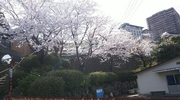 Umino hotel Hajime 3*
