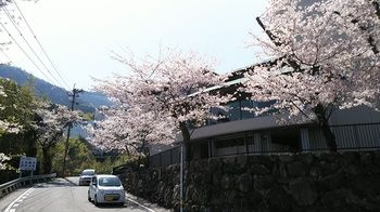 Umino hotel Hajime 3*