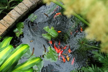 Leaves Lodge and Spa 5*