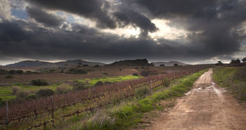 Asara Wine Estate & Hotel 5*