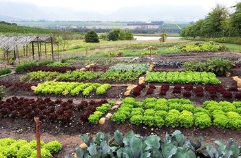 Asara Wine Estate & Hotel 5*